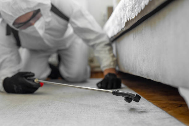 Professional Termite Control technician working in Maybrook, NY